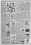 Erdington News Saturday 02 November 1907 Page 7