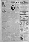 Erdington News Saturday 29 February 1908 Page 10