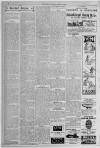 Erdington News Saturday 20 June 1908 Page 6