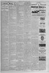 Erdington News Saturday 08 August 1908 Page 6