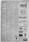Erdington News Saturday 02 January 1909 Page 6