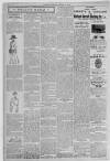 Erdington News Saturday 23 January 1909 Page 10