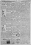 Erdington News Saturday 06 February 1909 Page 10