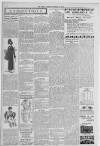 Erdington News Saturday 20 November 1909 Page 10