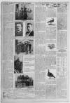 Erdington News Saturday 15 January 1910 Page 8