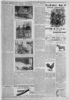 Erdington News Saturday 12 February 1910 Page 8