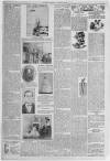Erdington News Saturday 12 March 1910 Page 8