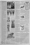 Erdington News Saturday 19 March 1910 Page 8