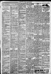 Erdington News Saturday 25 March 1911 Page 9