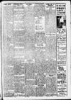Erdington News Saturday 02 June 1917 Page 3
