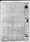 Erdington News Saturday 03 November 1917 Page 3