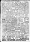 Erdington News Saturday 29 December 1917 Page 3