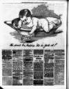 Warwickshire Herald Thursday 14 November 1889 Page 8