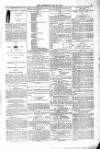 Blandford and Wimborne Telegram Friday 15 May 1874 Page 7