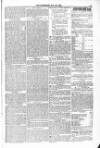 Blandford and Wimborne Telegram Friday 29 May 1874 Page 9