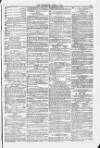 Blandford and Wimborne Telegram Friday 05 June 1874 Page 11