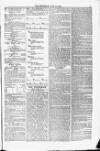 Blandford and Wimborne Telegram Friday 12 June 1874 Page 3