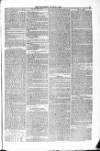 Blandford and Wimborne Telegram Friday 12 June 1874 Page 5