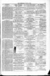Blandford and Wimborne Telegram Friday 12 June 1874 Page 7