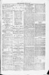 Blandford and Wimborne Telegram Friday 19 June 1874 Page 3