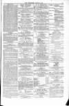 Blandford and Wimborne Telegram Friday 19 June 1874 Page 7