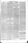 Blandford and Wimborne Telegram Friday 19 June 1874 Page 9