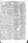 Blandford and Wimborne Telegram Friday 19 June 1874 Page 11