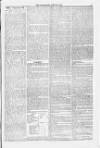 Blandford and Wimborne Telegram Friday 26 June 1874 Page 3
