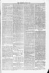 Blandford and Wimborne Telegram Friday 26 June 1874 Page 5