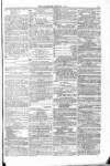 Blandford and Wimborne Telegram Friday 31 July 1874 Page 11