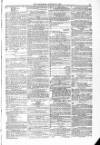 Blandford and Wimborne Telegram Friday 28 August 1874 Page 11