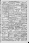 Blandford and Wimborne Telegram Friday 11 September 1874 Page 11