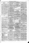 Blandford and Wimborne Telegram Friday 18 September 1874 Page 11
