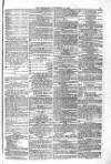 Blandford and Wimborne Telegram Friday 13 November 1874 Page 11