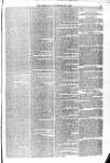 Blandford and Wimborne Telegram Friday 20 November 1874 Page 9