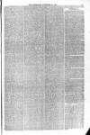 Blandford and Wimborne Telegram Friday 27 November 1874 Page 3