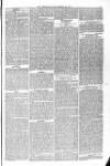 Blandford and Wimborne Telegram Friday 27 November 1874 Page 5