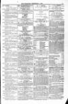 Blandford and Wimborne Telegram Friday 04 December 1874 Page 7