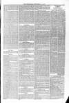 Blandford and Wimborne Telegram Friday 11 December 1874 Page 5