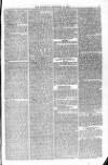 Blandford and Wimborne Telegram Friday 18 December 1874 Page 5