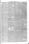 Blandford and Wimborne Telegram Friday 22 January 1875 Page 3