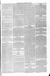 Blandford and Wimborne Telegram Friday 22 January 1875 Page 5