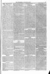 Blandford and Wimborne Telegram Friday 29 January 1875 Page 3