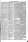 Blandford and Wimborne Telegram Friday 29 January 1875 Page 5