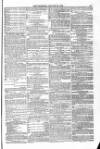 Blandford and Wimborne Telegram Friday 29 January 1875 Page 11