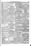 Blandford and Wimborne Telegram Friday 05 February 1875 Page 11