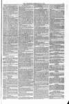 Blandford and Wimborne Telegram Friday 12 February 1875 Page 5