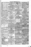 Blandford and Wimborne Telegram Friday 12 February 1875 Page 11