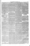 Blandford and Wimborne Telegram Friday 19 February 1875 Page 5