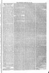 Blandford and Wimborne Telegram Friday 26 February 1875 Page 3